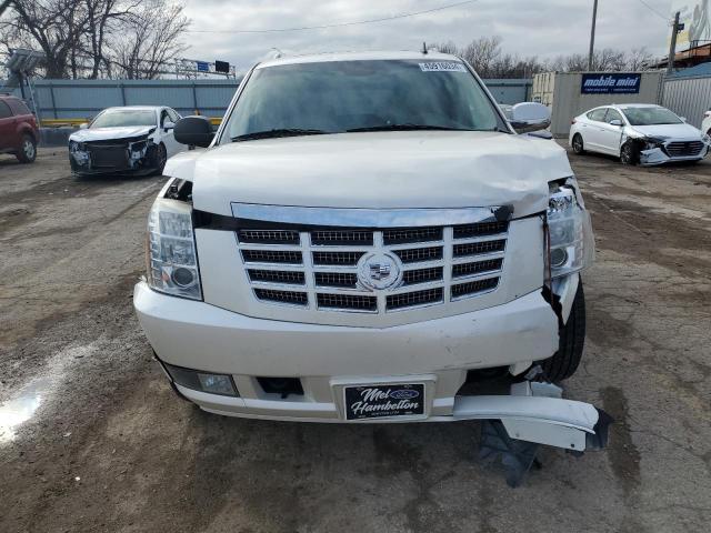 1GYFC26219R160235 - 2009 CADILLAC ESCALADE ESV LUXURY CREAM photo 5