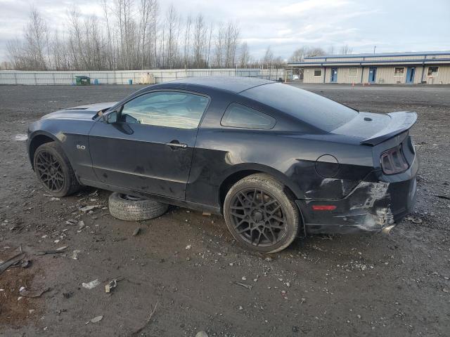 1ZVBP8CF4D5262743 - 2013 FORD MUSTANG GT BLACK photo 2