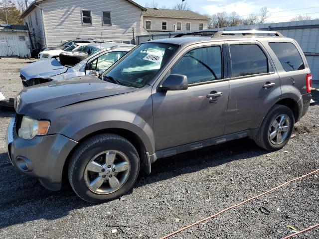 1FMCU9EG0AKD16298 - 2010 FORD ESCAPE LIMITED GRAY photo 1