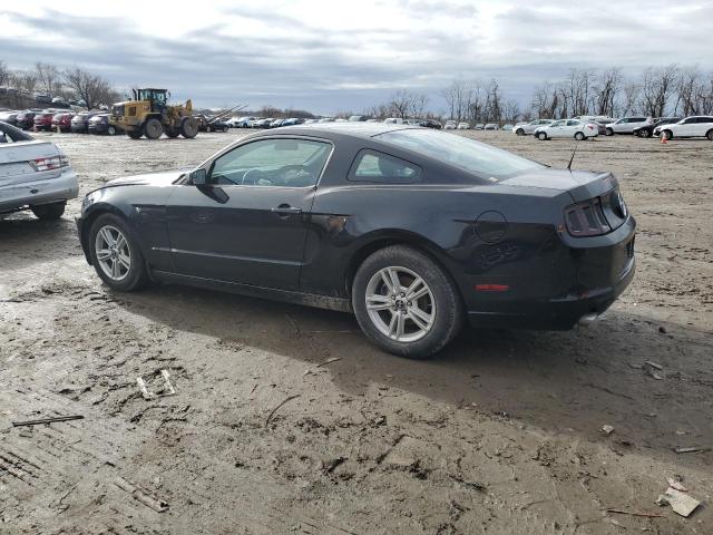 1ZVBP8AM1E5231131 - 2014 FORD MUSTANG BLACK photo 2