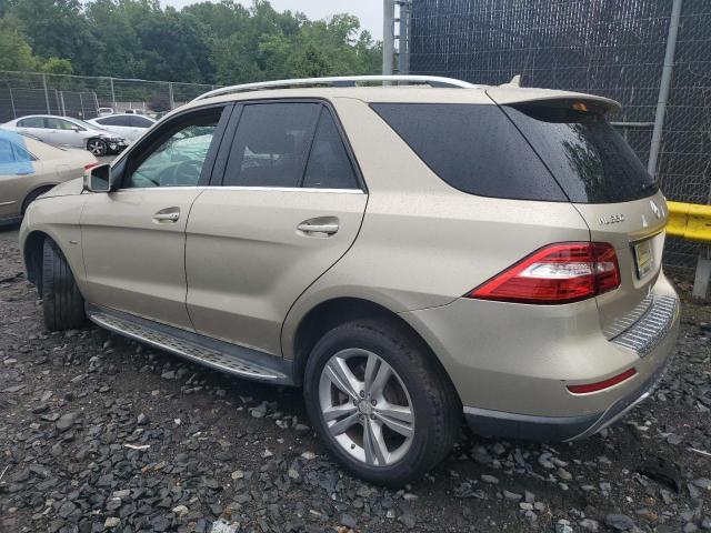 4JGDA5HB4CA077935 - 2012 MERCEDES-BENZ ML 350 4MATIC GOLD photo 2