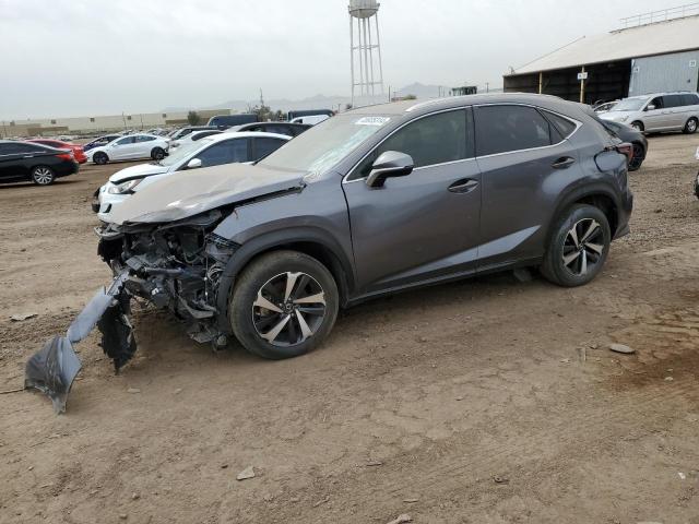 JTJGARDZ9M2236484 - 2021 LEXUS NX 300 BASE Boz foto 1