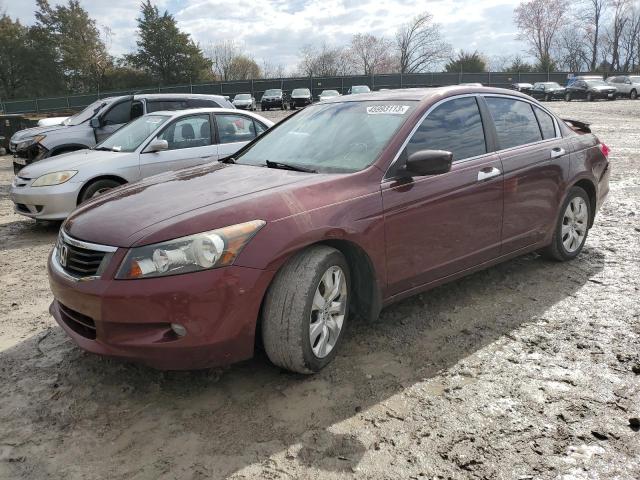 1HGCP36899A040268 - 2009 HONDA ACCORD EXL BURGUNDY photo 1