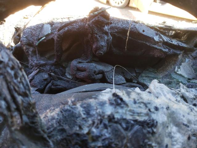 3C6MRVJG0ME551453 - 2021 RAM PROMASTER 3500 HIGH 烧焦的 照片 9