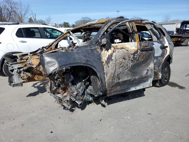 5FNYG1H63RB036034 - 2024 HONDA PILOT TRAILSPORT BURN photo 1