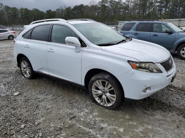 JTJBC1BA4A2014434 - 2010 LEXUS RX 450 WHITE photo 4