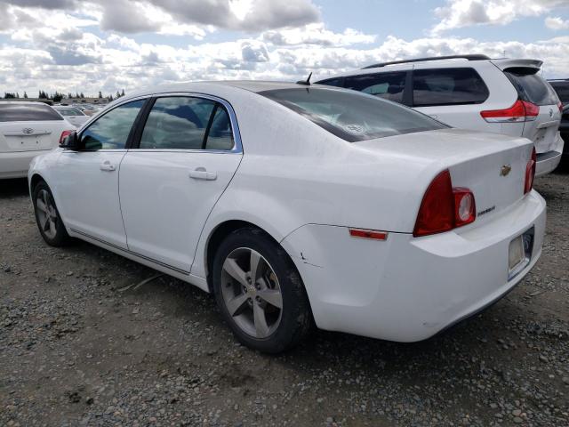 1G1ZC5E12BF335542 - 2011 CHEVROLET MALIBU 1LT WHITE photo 2