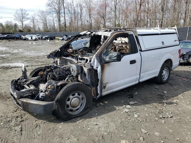 1FTMF1CP3GKF55845 - 2016 FORD F150 WHITE photo 1