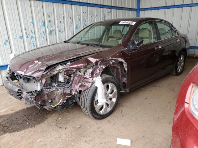 2010 HONDA ACCORD EXL, 