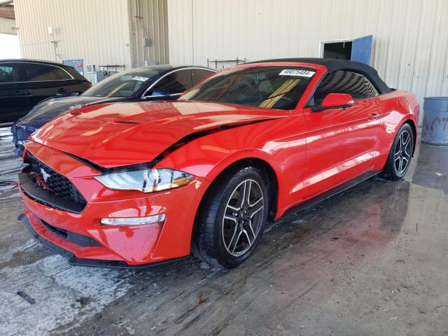 1FATP8UH1K5171083 - 2019 FORD MUSTANG RED photo 1