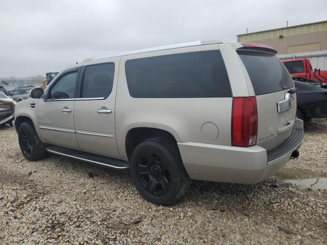 1GYFK66837R300300 - 2007 CADILLAC ESCALADE ESV SILVER photo 2