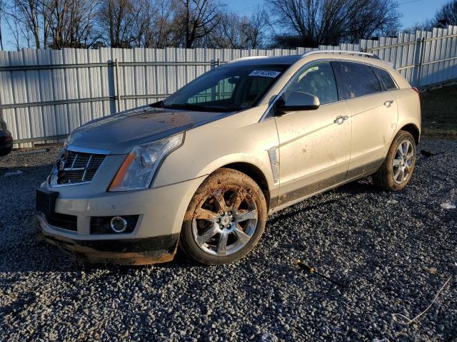 3GYFNBE33CS526267 - 2012 CADILLAC SRX PERFORMANCE COLLECTION BEIGE photo 1