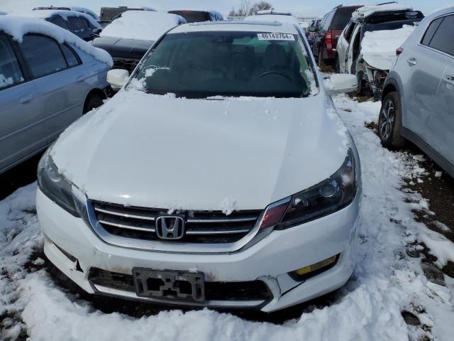 1HGCR2F83EA191444 - 2014 HONDA ACCORD EXL WHITE photo 5