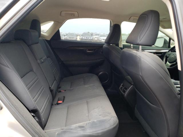 JTJDARBZ5M5034097 - 2021 LEXUS NX 300 BASE Beżowy zdjęcie 11