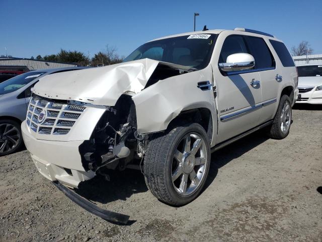 2010 CADILLAC ESCALADE PREMIUM, 