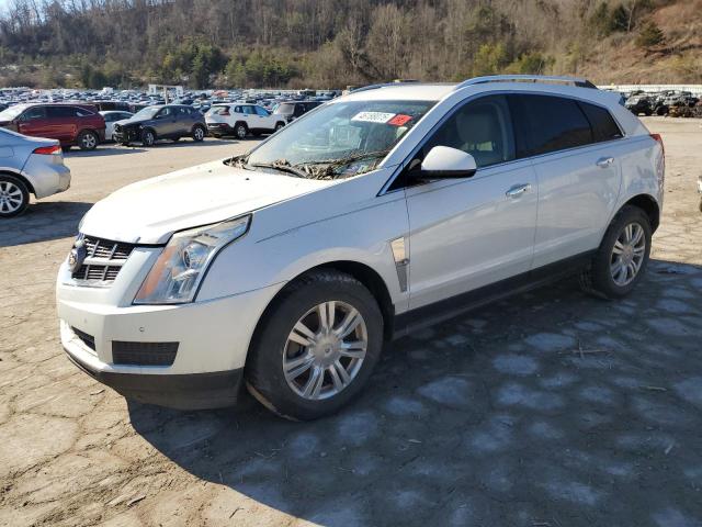 2011 CADILLAC SRX LUXURY COLLECTION, null