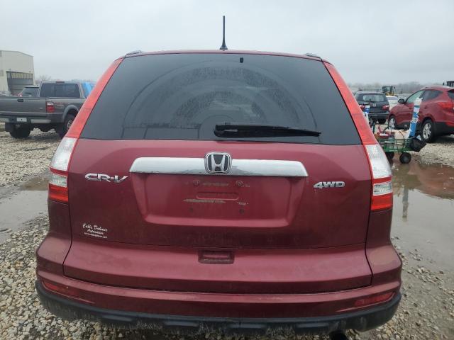 5J6RE4H59AL016661 - 2010 HONDA CR-V EX RED photo 6