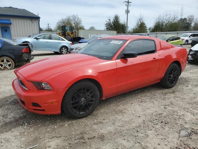 1ZVBP8AM5E5241158 - 2014 FORD MUSTANG RED photo 1