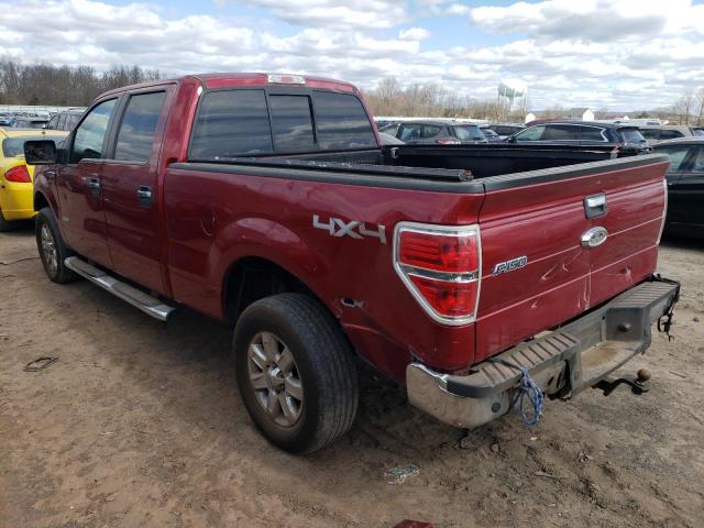 1FTFW1ETXDKG15764 - 2013 FORD F150 SUPERCREW RED photo 2