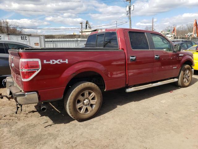 1FTFW1ETXDKG15764 - 2013 FORD F150 SUPERCREW RED photo 3