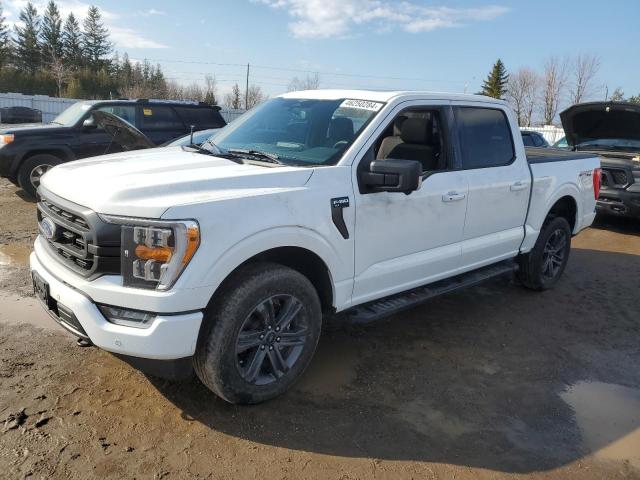 2023 FORD F150 SUPERCREW, 