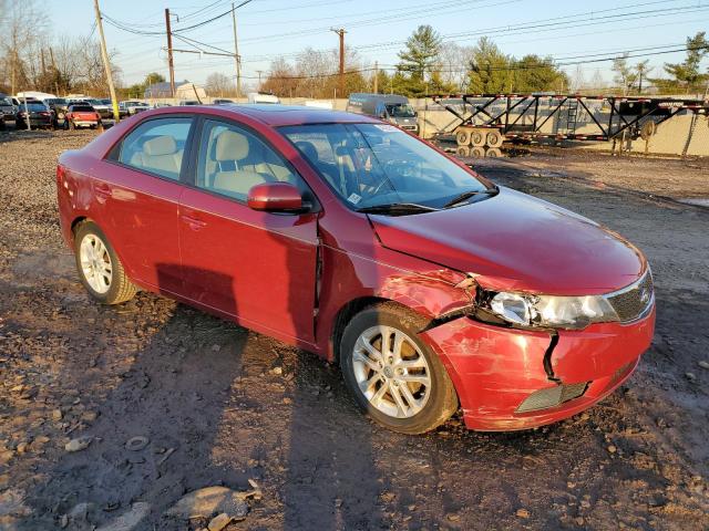 KNAFU4A24C5569069 - 2012 KIA FORTE EX RED photo 4