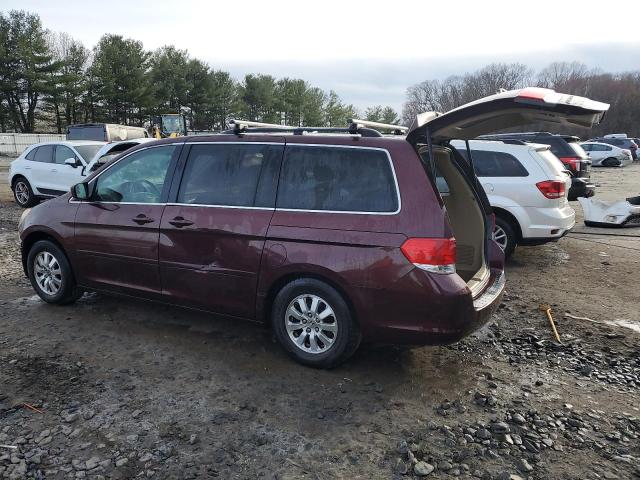 5FNRL38768B029338 - 2008 HONDA ODYSSEY EXL BURGUNDY photo 2