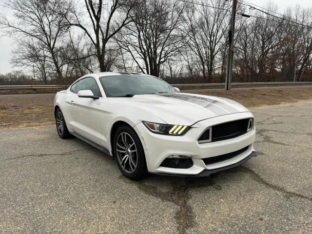 1FA6P8TH8H5356996 - 2017 FORD MUSTANG WHITE photo 1