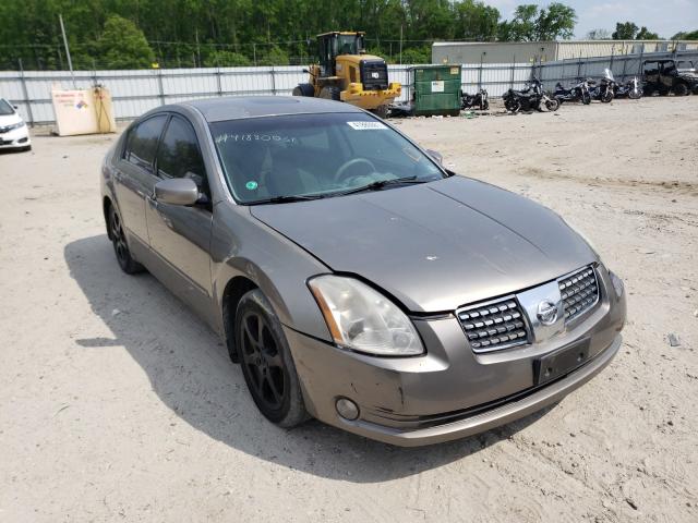 1N4BA41E75C832860 - 2005 NISSAN MAXIMA SE GOLD photo 1