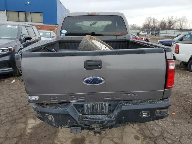 1FTSW2BRXAEB06734 - 2010 FORD F250 SUPER DUTY GRAY photo 6