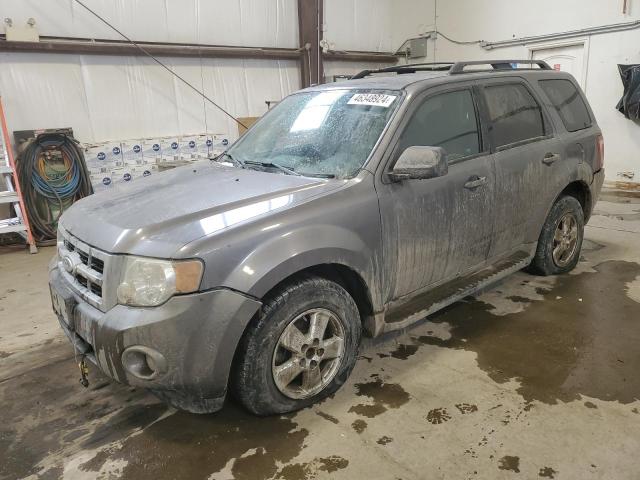 2009 FORD ESCAPE XLT, 