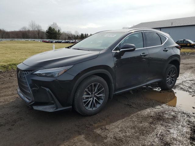 2024 LEXUS NX 350 BASE, 