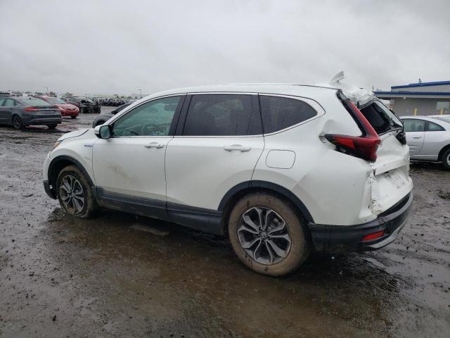 7FART6H82LE020790 - 2020 HONDA CR-V EXL WHITE photo 2