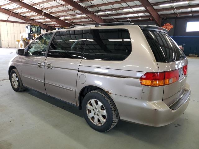 5FNRL18824B093965 - 2004 HONDA ODYSSEY EX TAN photo 2