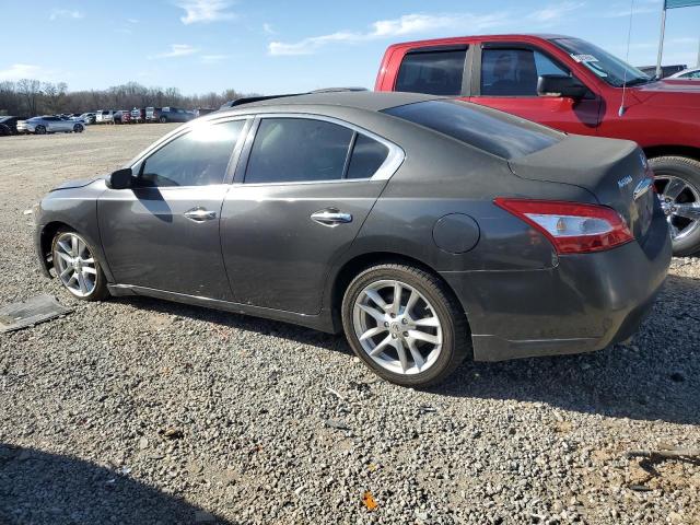 1N4AA51E99C822774 - 2009 NISSAN MAXIMA S GRAY photo 2