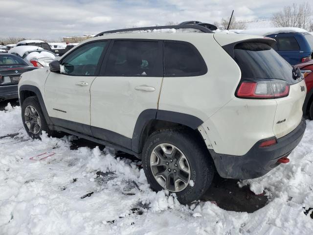 1C4PJMBX9KD313816 - 2019 JEEP CHEROKEE TRAILHAWK WHITE photo 2