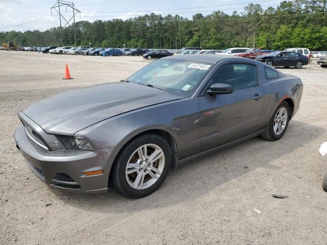 1ZVBP8AM3E5324751 - 2014 FORD MUSTANG GRAY photo 1