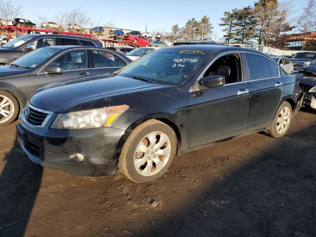 2010 HONDA ACCORD EXL, 