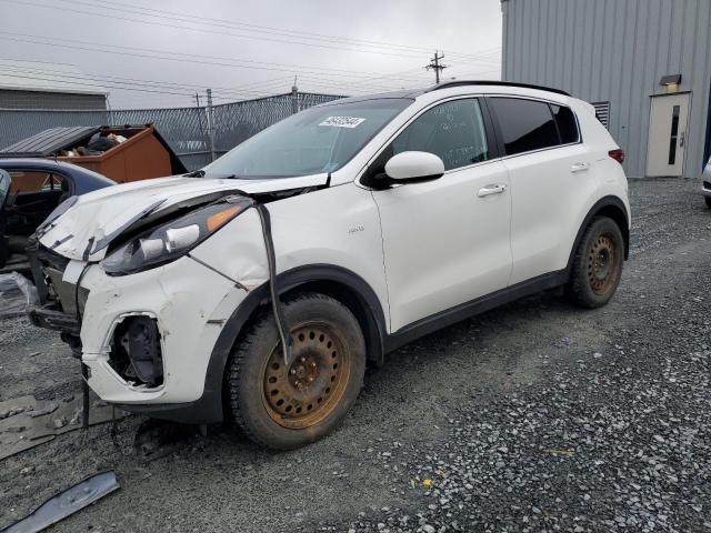 KNDPNCAC3L7777598 - 2020 KIA SPORTAGE EX WHITE photo 1