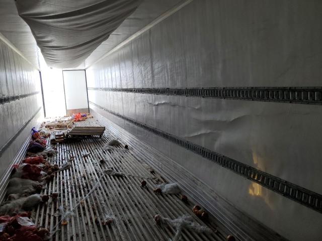 3UTVS2530P8826613 - 2023 UTILITY TRAILER Weiß Foto 6