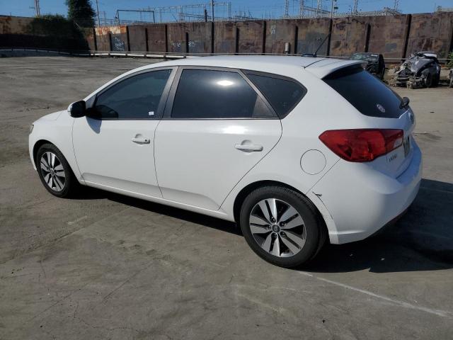 KNAFU5A27D5742476 - 2013 KIA FORTE EX WHITE photo 2