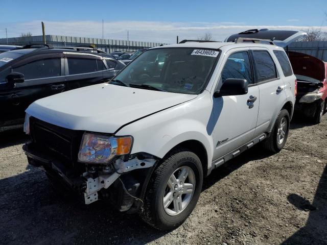 1FMCU5K39AKC05680 - 2010 FORD ESCAPE HYBRID WHITE photo 1