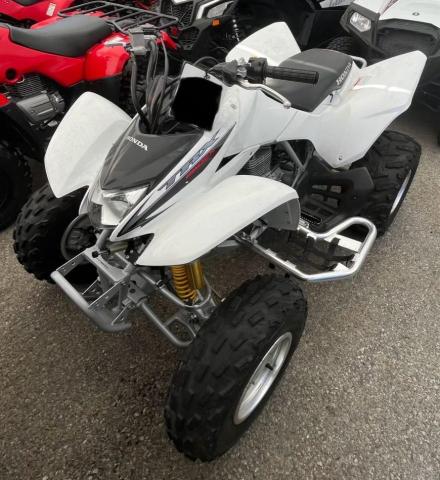 1HFTE270284701911 - 2008 HONDA TRX250 EX WHITE photo 2