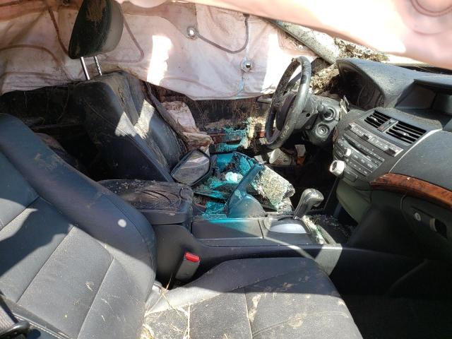 5J6TF1H57CL003637 - 2012 HONDA CROSSTOUR EXL შავი ფოტო 7