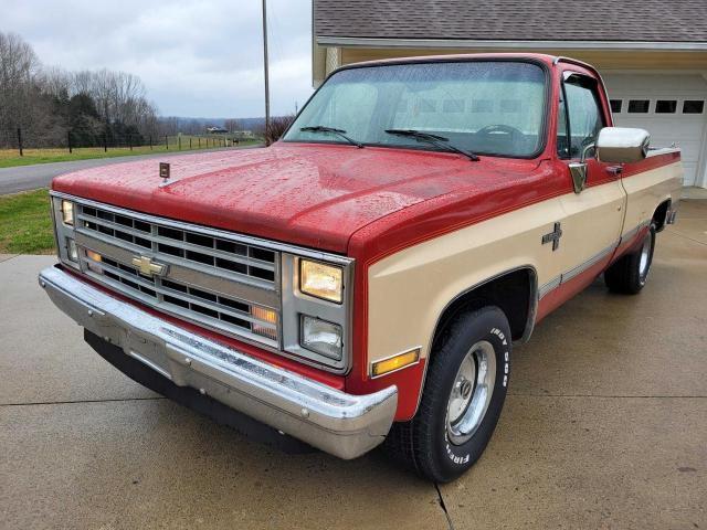 1GCDR14KXHS109722 - 1987 CHEVROLET R10 TWO TONE photo 2