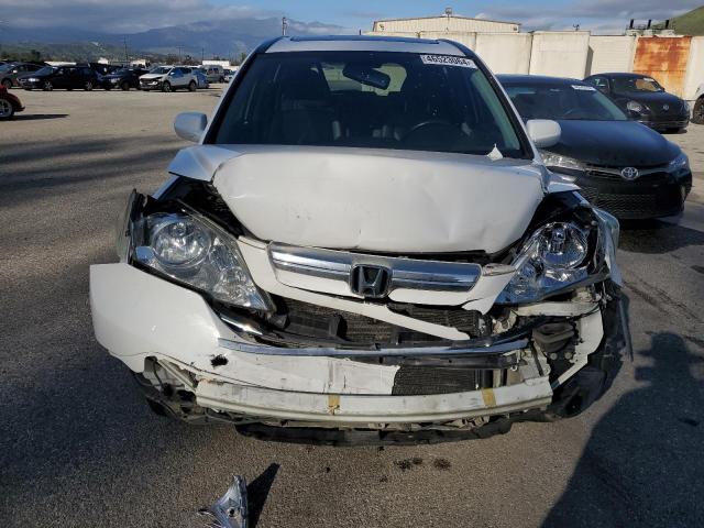 5J6RE38788L010436 - 2008 HONDA CR-V EXL WHITE photo 5