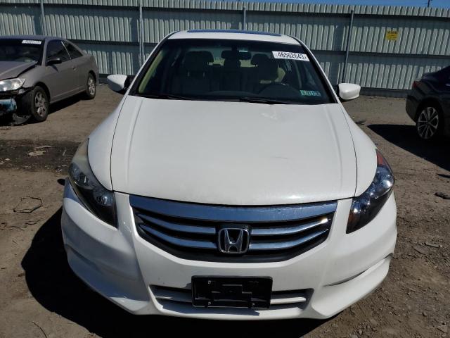 1HGCP3F84BA030141 - 2011 HONDA ACCORD EXL WHITE photo 5