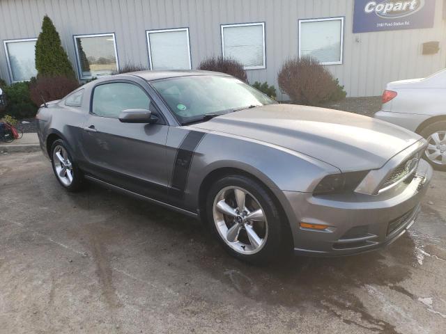 1ZVBP8AM4D5204343 - 2013 FORD MUSTANG GRAY photo 4