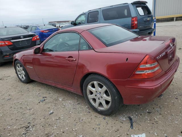 WDBKK49F54F307439 - 2004 MERCEDES-BENZ SLK 230 KOMPRESSOR RED photo 2