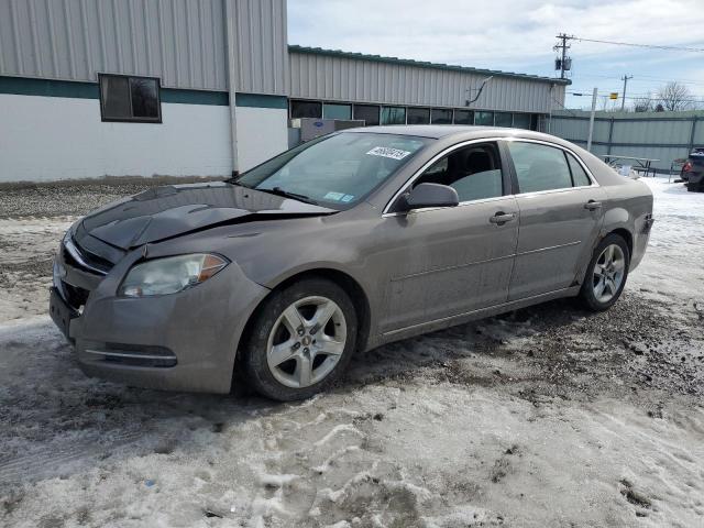 1G1ZC5EB3A4134607 - 2010 CHEVROLET MALIBU 1LT GRAY photo 1